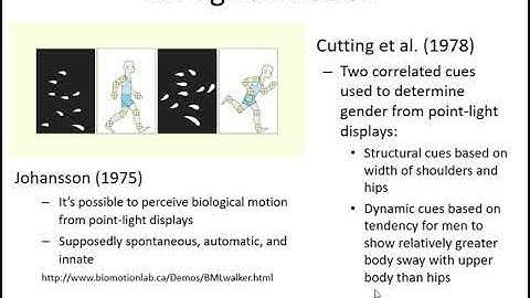 PSYCH360 Cognitive Processes, Online Module 9, 7b Biological Motion