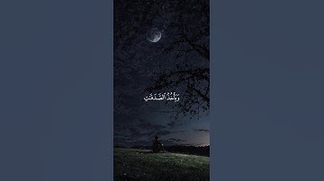 اكتب شيء تؤجر عليه 💙😴 / القارئ ياسر الدوسري