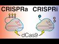 CRISPRi and CRISPRa using dCas9 | CRISPR-ON and CRISPR-OFF | Beyond Cas9 gene editing
