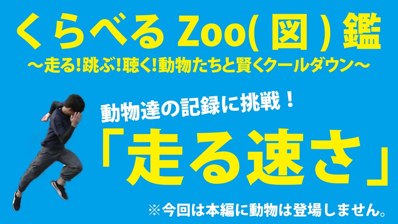 日本平動物園 おうちdemoどうぶつえん くらべるzoo 図 鑑 動物たちの身体能力を知ろう 走る速さ 編 Youtube
