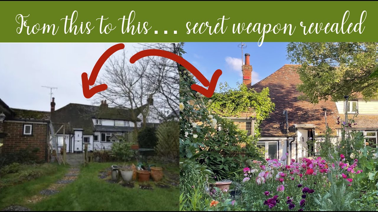 My gardening story, my secret gardening weapon “s” & general gardening chat about my evolving garden