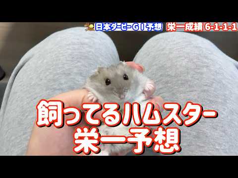 うまピヨ競馬ちゃんねるのYouTube動画サムネイル