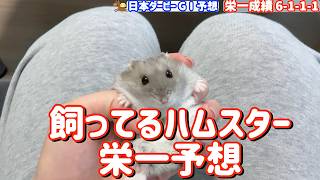 競馬予想【GⅠ日本ダービー🐎 2026.5.31】取るぞ日本ダービー！本命9連続馬券内へ！