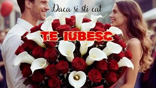 Dacă ai ști cât te iubesc – Șlagărul de dragoste al românilor