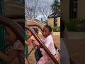 Sibling Anthem Check!