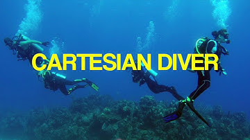 Cartisian Diver