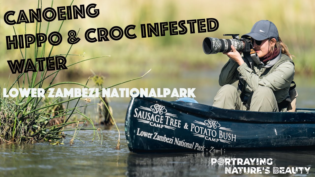 Canoe Photo Safari in Zambia's Lower Zambezi Nationalpark