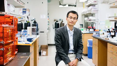 Inorganic Chemist Peidong Yang, 2015 MacArthur Fellow