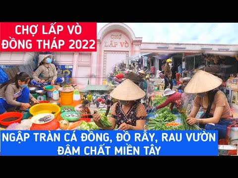 Video CHỢ LẤP VÒ, ĐỒNG THÁP - Ngập Tràn CÁ ĐỒNG, ĐỒ RẪY RAU... - youtube