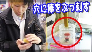 穴に棒をブッ刺す、謎のUFOキャッチャーやってみた