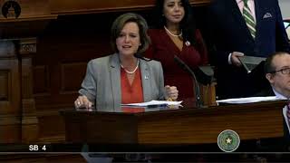 Rep. Ann Johnson speaks in opposition to SB4