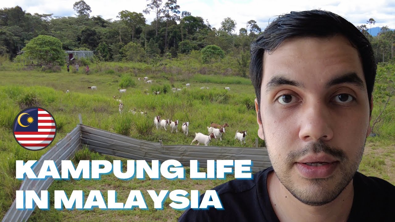 I Visited A Kampung Town Batu Kurau In Perak Malaysia