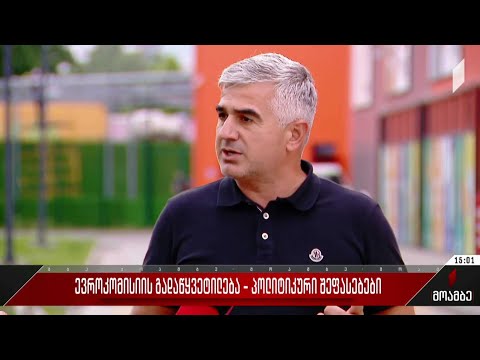 პოლიტიკური შეფასებები ევროკომისიის გადაწყვეტილებასთან დაკავშირებით