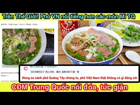 Video Dân Mạng TQ nổi đóa! Khi Thấy Phở VN có độ nổi tiếng... - YouTube