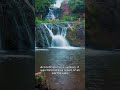 Джуринський водоспад — найвищий рівнинний водоспад в Україні. The Dzhurynskyi waterfall in Ukraine/