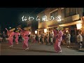 おわら風の盆2025 夜灯に踊る花 天満町 Most beautiful Bon dance "Owara Kaze no Bon"