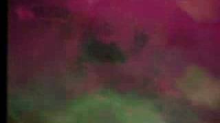 Video voorbeeld van "SIGUR ROS - REFUR"