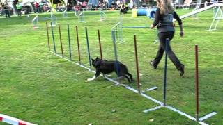 Svdh Großkrotzenburg A3 Jay