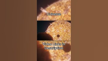 TOP 3 LARGEST BUILDS IN MINECRAFT