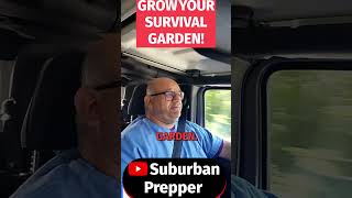 Download Lagu The Reality of Survival Gardening #garden #survival  #shorts MP3