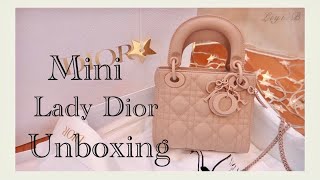 Lady Dior in Matte Pink Luxury Bags  Wallets on Carousell