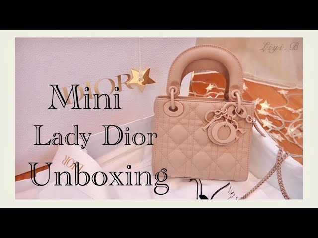 dior matte lady dior