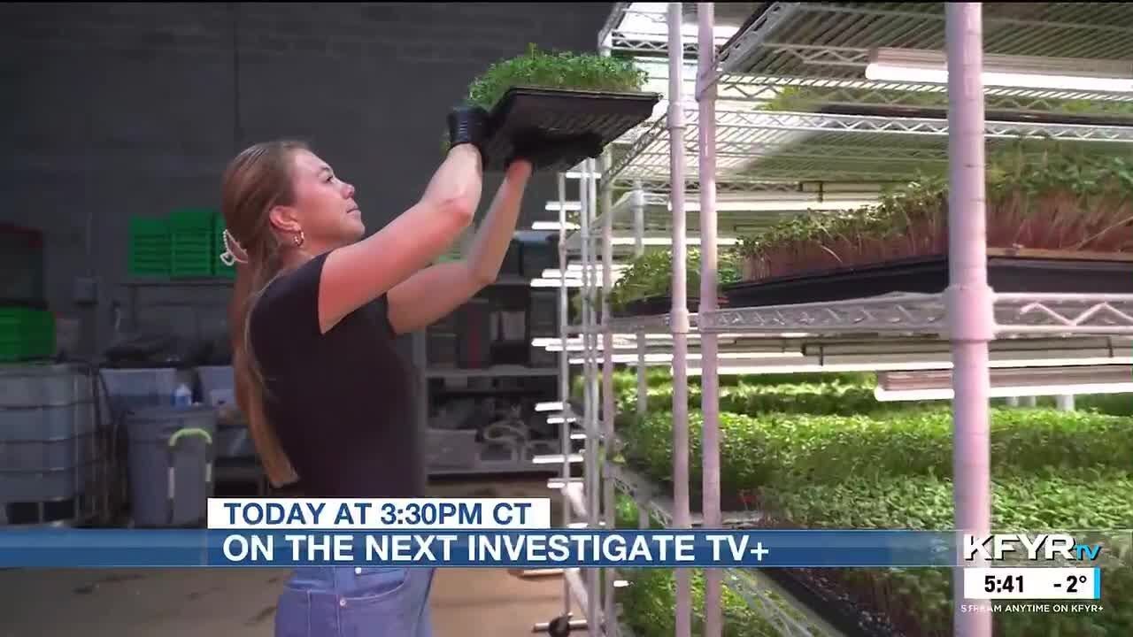 Investigate TV 01/26/2026