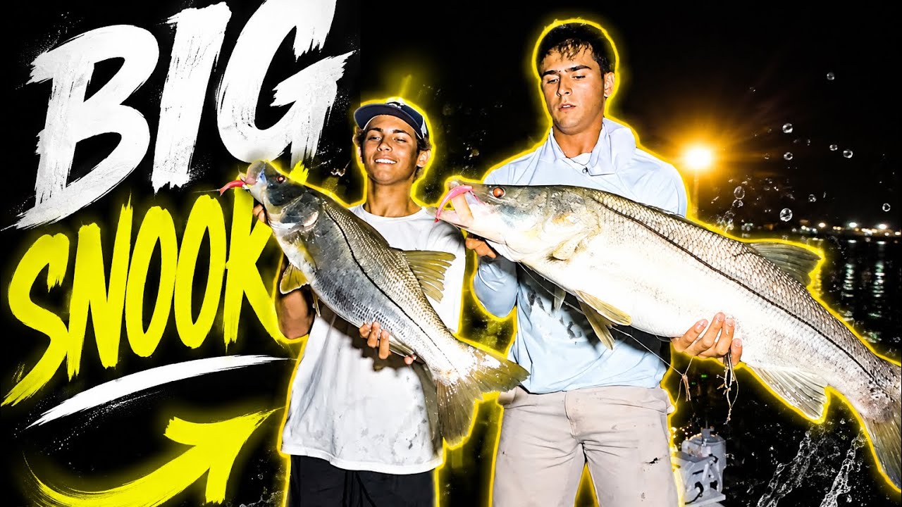 Fishing For Big Snook!!!