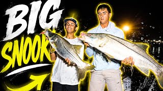 Fishing For Big Snook!!!