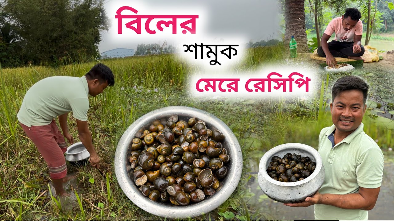 বিলের শামুক মেরে সেই শামুকের একটা অসাধারণ রেসিপি | Snail Recipe 
