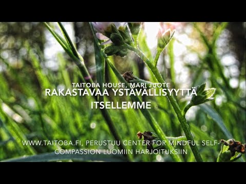 Video: Ero Ystävällisyyden Ja Myötätunnon Välillä