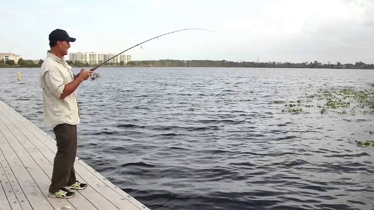 canción Por qué no oler Aprende a pescar: Cómo manejar al pez para enrollarlo - YouTube