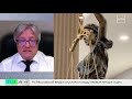 Заброшенную землю могут изъять: за что дачники рискуют потерять участок — Москва 24