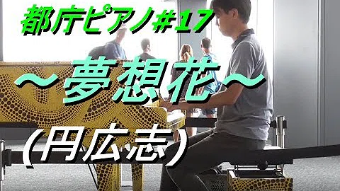 تحميل 夢想花 円広志