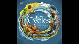 Download Lagu Life Cycles - Dk