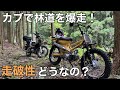 【ｶｽﾀﾑｶﾌﾞ 林道】ｸﾛｽｶﾌﾞとｵﾌﾛｰﾄﾞｶﾌﾞで林道に突撃！ｶﾌﾞって走破性高くね⁈【C50 CC110 ﾓﾄﾌﾞﾛｸﾞ 4mini ﾂｰﾘﾝｸﾞ】
