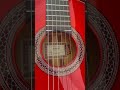 Guitare Esteve Modèle Gipsy Kings By André Reyes Guitare Esteve Modèle Gipsy Kings By André Reyes