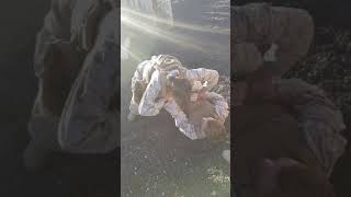 MCMAP Ground fighting screenshot 5