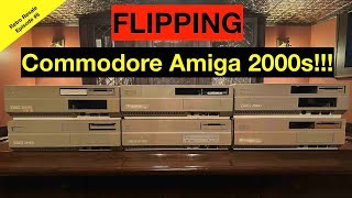 RR#8: The 2000 is the best Amiga, but will people still pay up?