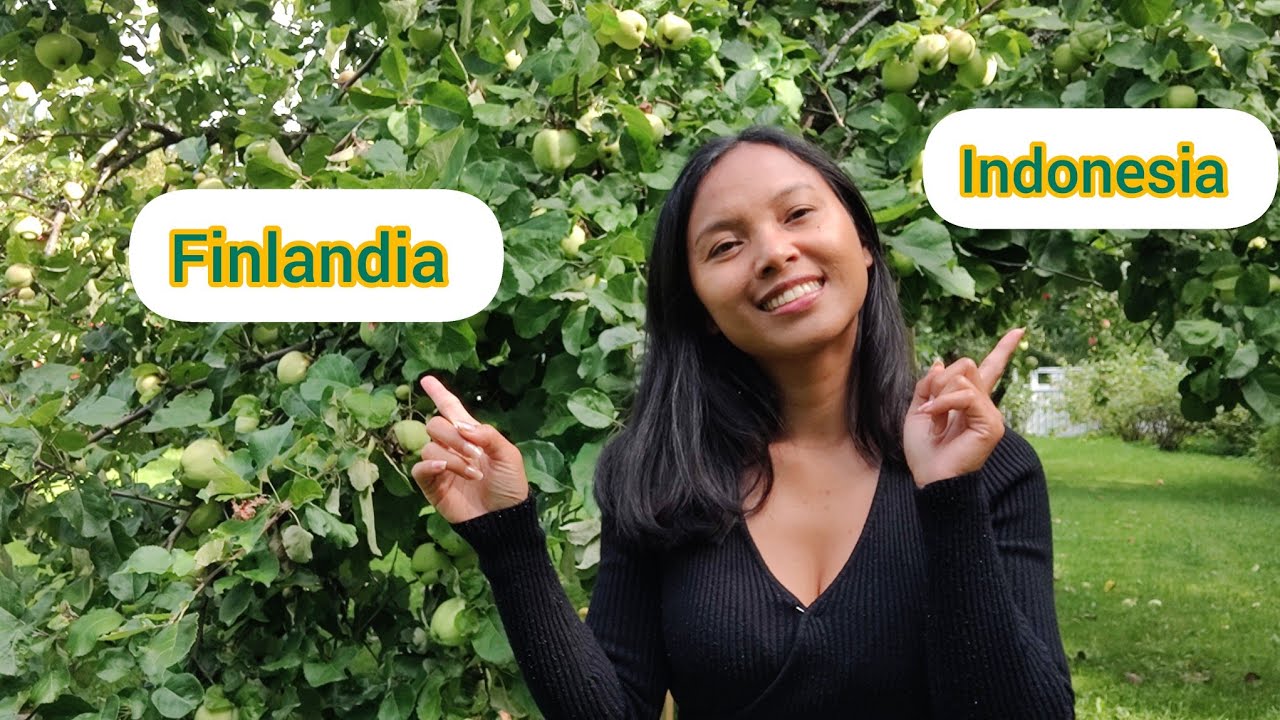 INDONESIA VS FINLANDIA