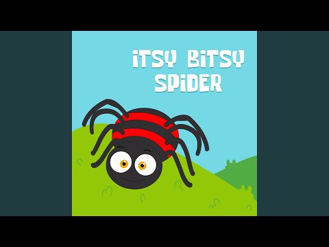 Itsy Bitsy Spider