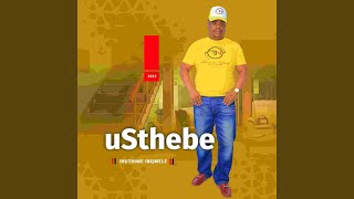 Ngizohlala naye (feat. INjebomvu & Zekhethelo Mtolo)