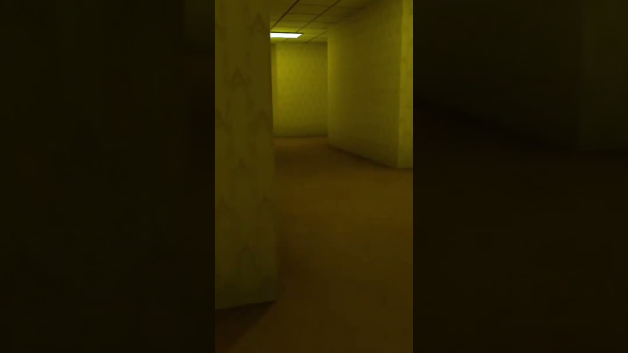 Bro's brain reacted before the sound came 