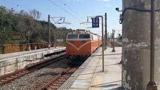 雙機莒光號飆車！現在本務已更新！516次，莒光快速新埔通過（E219+E204）