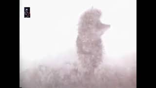 Fate-D - Ezītis Miglā M.m. & Nerātnāsdziesmas Remix