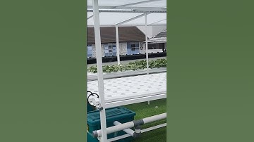 Thumbnail of Hidroponik Rumahan Hidroponik Rooftop