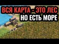 СВЯТОЙ ЛЕС и гонка за реликвией: эпичный бред на Piligrim Nothing в Age of Empires 2