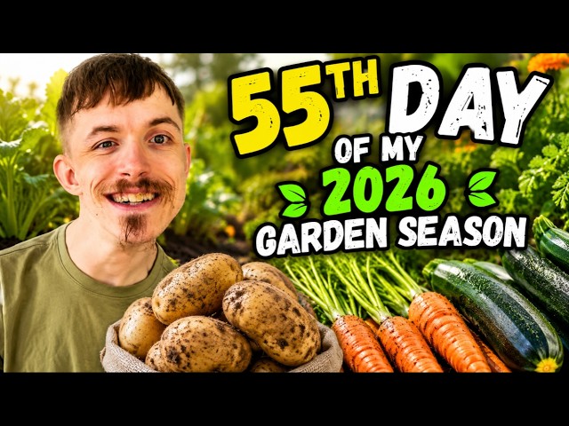 2026 Garden Season | 55th Day Update | Unique Prepping #LIVE