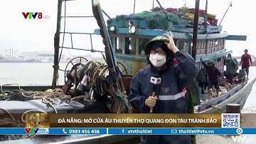 Đà Nẵng mở cửa âu thuyền Thọ Quang đón tàu tránh bão | VTVWDB