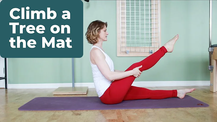 Climb A Tree on the Mat⎮Pilates Exercise Tutorial